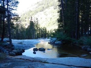 Mono Creek, still in deep shade.