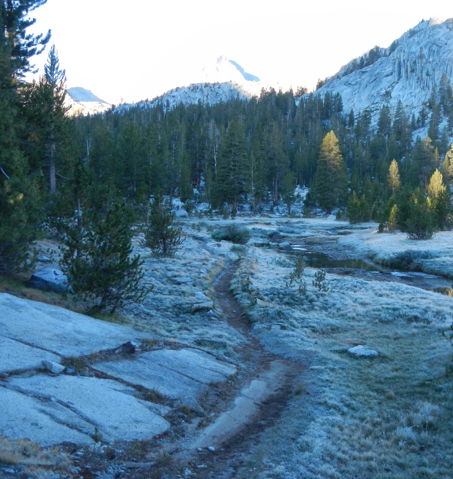 A cold, frosty morning at Rosemarie Meadow.