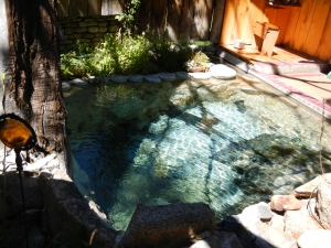 The Japanese-style hot springs.