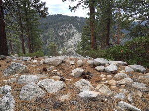 Remains of Native American encampment. You can't really see the rock-lined indentation, but I know it's there.