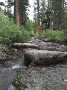 The creek where I took a tumble.