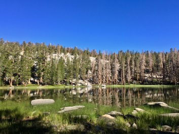 We passed a little lake with quite a few standing dead trees. Beetle damage is very prevalent at the lower elevations.